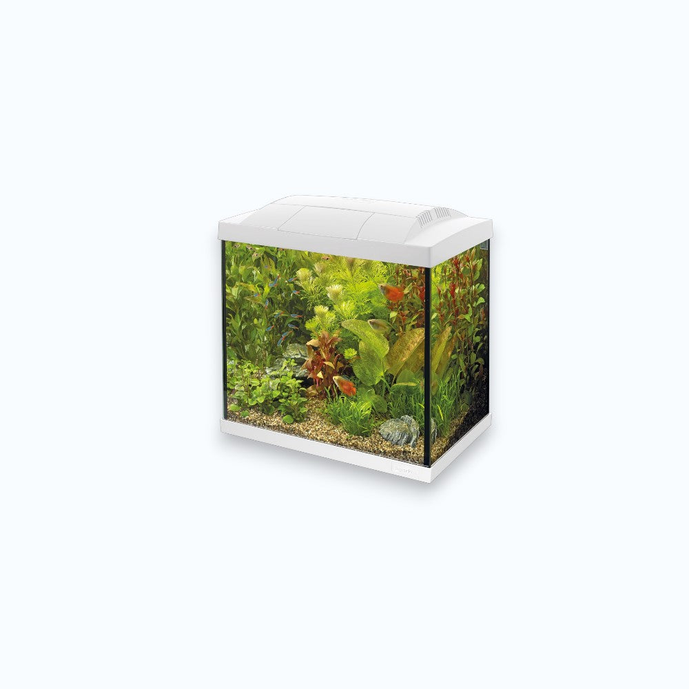 Superfish Start 20 Kit White - Nano aquarium 20 litres kit complet design blanc