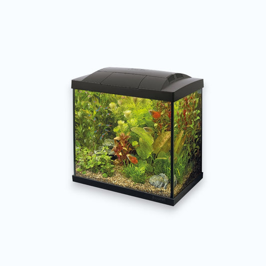 Superfish Start 30 Tropical Kit Black - Aquarium 30 litres kit complet tropical design noir