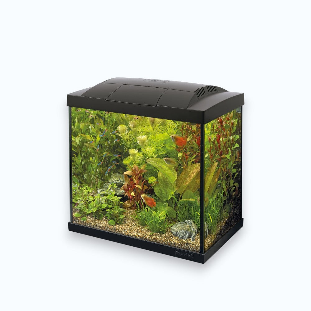 Superfish Start 50 Tropical Kit Black - Aquarium 50 litres kit complet tropical design noir