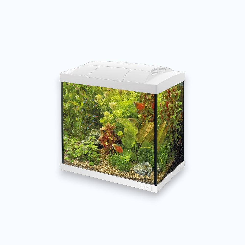 Superfish Start 50 Tropical Kit White - Aquarium 50 litres kit complet tropical design blanc