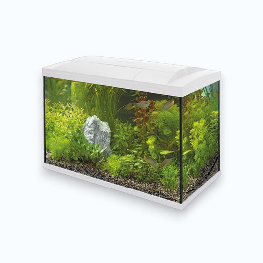Superfish Start 70Tropical Kit White - Aquarium 70 litres kit complet tropical design blanc