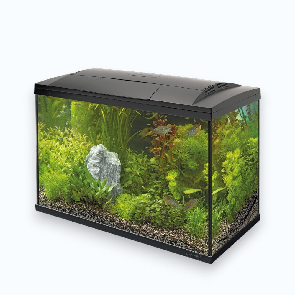 Superfish Start 70 Tropical Kit Black - Aquarium 70 litres kit complet tropical design noir