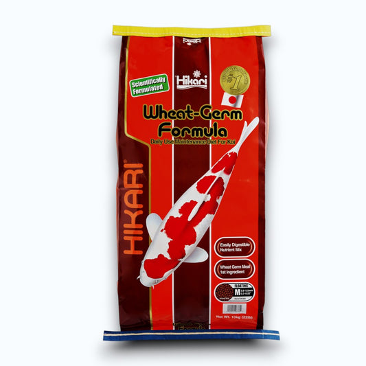 HIKARI WHEAT-GERM MEDIUM 10 KG - Sac de granulés medium à base de germe de blé pour alimentation koi basse température
